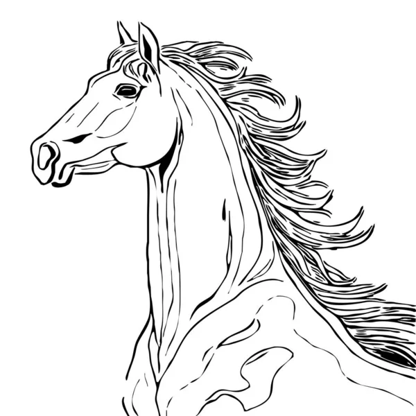 Illustrazione Animale Silhouette Nera Cavallo Sfondo Bianco — Foto Stock