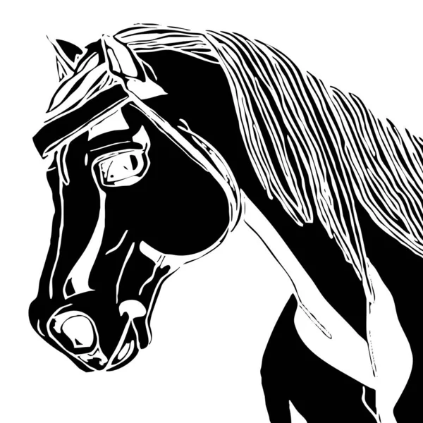Illustration Animale Silhouette Noire Cheval Sur Fond Blanc — Photo