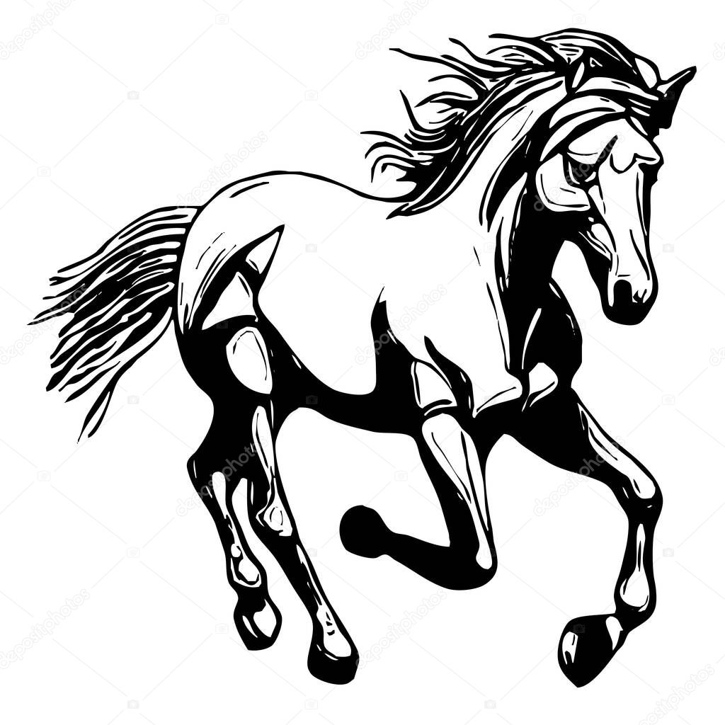 Animal illustration. Black silhouette of a horse on a white background.
