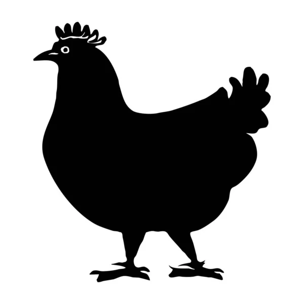动物图解 白色背景的黑母鸡 — 图库照片
