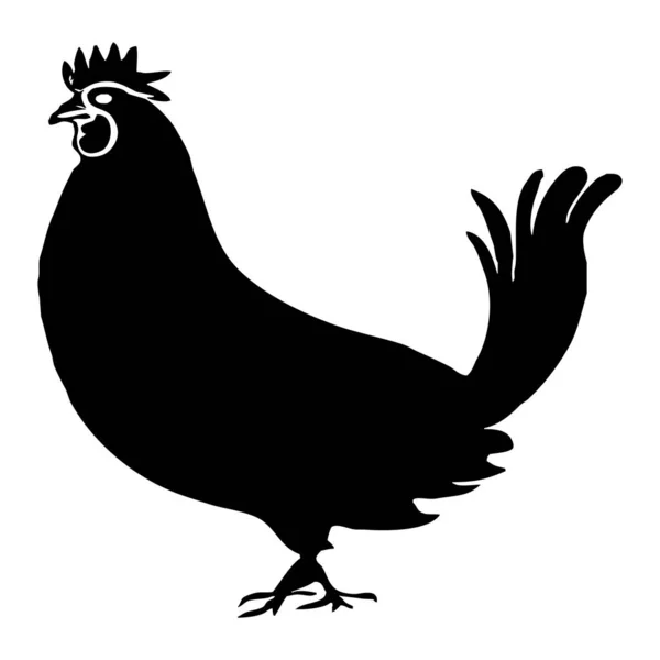 Illustrazione Animale Gallo Nero Sfondo Bianco — Foto Stock