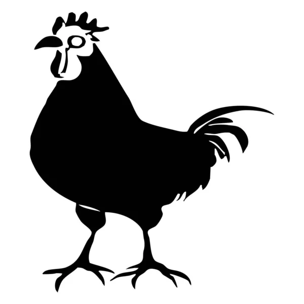 Dierenillustratie Zwarte Haan Een Witte Achtergrond — Stockfoto