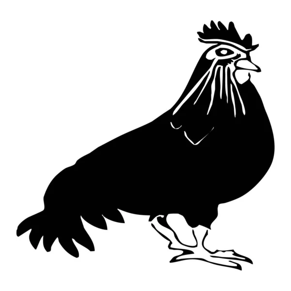 动物图解 白色背景上的黑色公鸡 — 图库照片