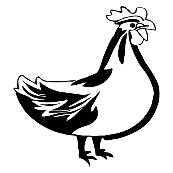 Hayvan Çizimi Beyaz Arka Planda Siyah Tavuk — Stok fotoğraf