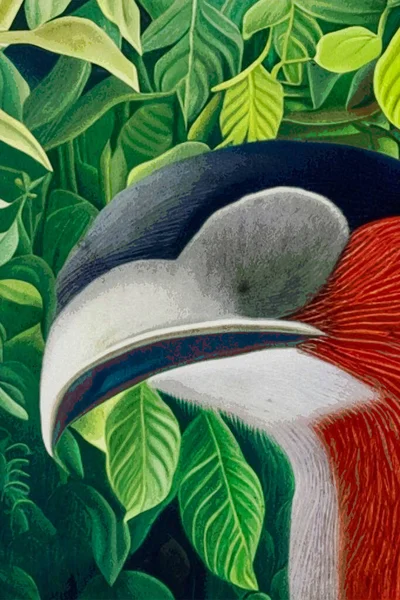 キャンバス上の水彩画 印刷可能な植物イラスト 布パターン グラフィックで使用するために イラストの鳥 — ストック写真