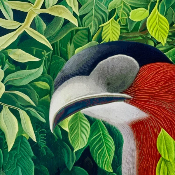 Watercolor Painting Printable Botanical Illustration Fabric Pattern Use Graphics Bird — Stock Photo, Image