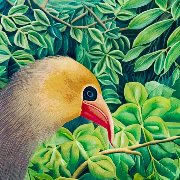 Aquarelleren Afdrukbare Botanische Illustratie Stof Patroon Voor Gebruik Graphics Vogel — Stockfoto