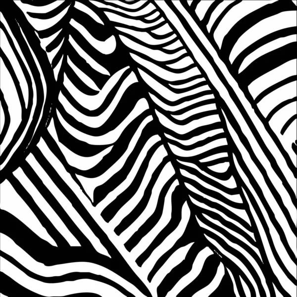 Siyah Beyaz Soyut Çizimler Giysiler Tekstil Duvar Dekorasyonları Için Tasarım — Stok fotoğraf