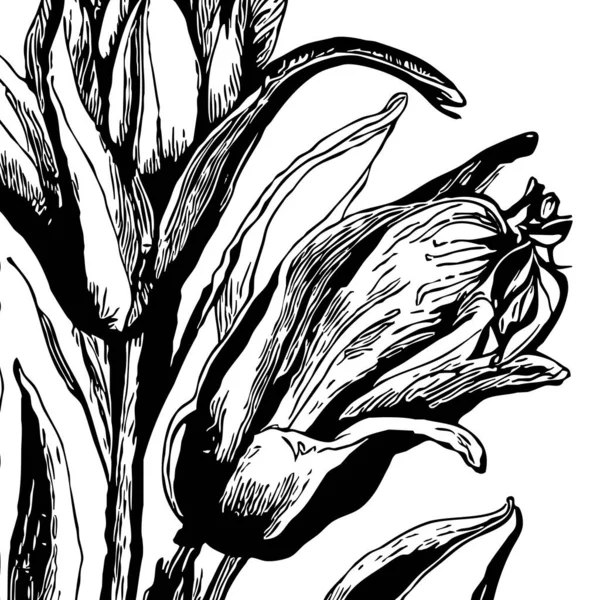 Botanical Pattern White Background Black Flowers — Stock Photo, Image