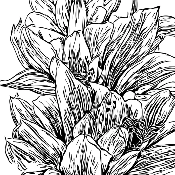Botanical pattern on a white background. Black flowers