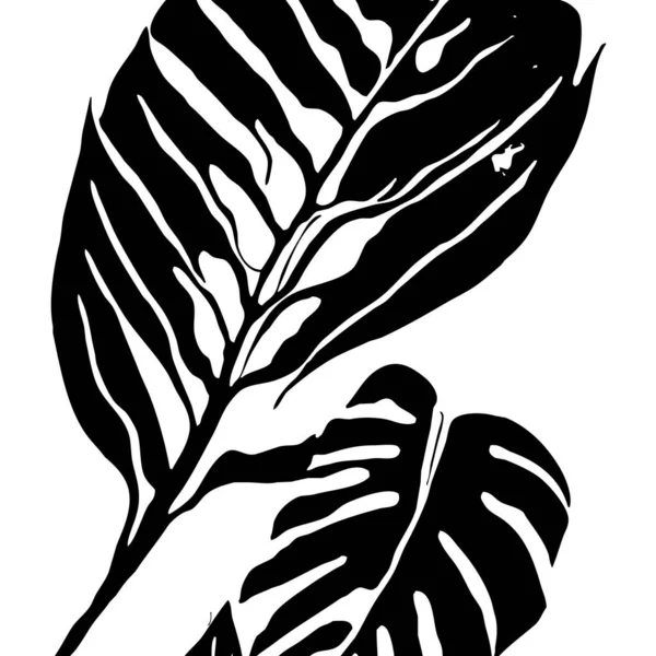 Βοτανικό Μοτίβο Λευκό Φόντο Μαύρα Φύλλα — Φωτογραφία Αρχείου
