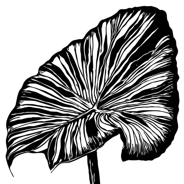 Ботанічний Візерунок Білому Тлі Чорне Листя — стокове фото