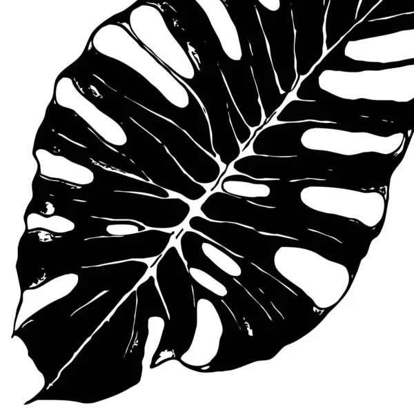 Βοτανικό Μοτίβο Λευκό Φόντο Μαύρα Φύλλα — Φωτογραφία Αρχείου