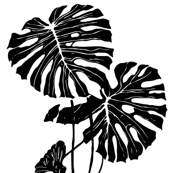 Botanický Vzor Bílém Pozadí Černé Listy — Stock fotografie