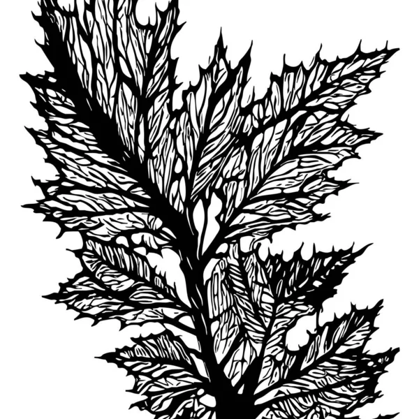 Wzór Botaniczny Białym Tle Liście Czarne — Zdjęcie stockowe
