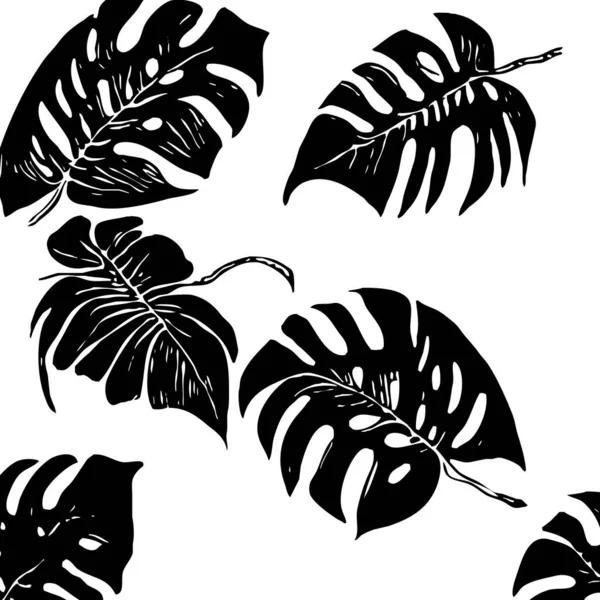 白色背景上的植物图案 — 图库照片