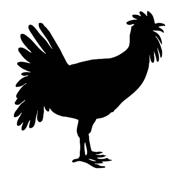 Kuş Çizimi Beyaz Arka Planda Siyah Horoz — Stok fotoğraf