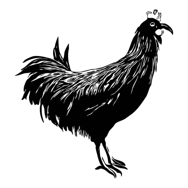 鸟类图解 白色背景上的黑色公鸡 — 图库照片