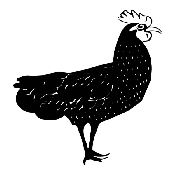 Gallina Icono Negro Sobre Fondo Blanco —  Fotos de Stock