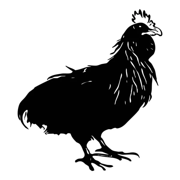 Курица Черная Иконка Белом Фоне — стоковое фото