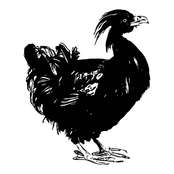 Kippen Zwart Pictogram Een Witte Achtergrond — Stockfoto