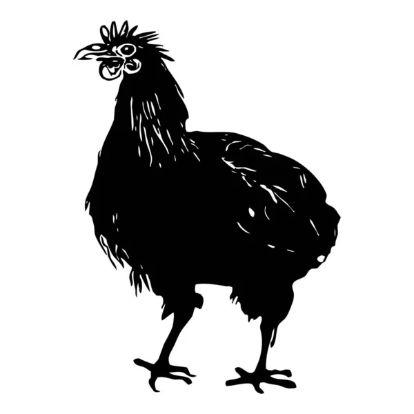 Курица Черная Иконка Белом Фоне — стоковое фото