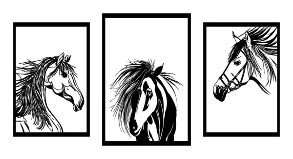 Soubor Minimalistických Černobílých Ilustrací Koně — Stockový vektor