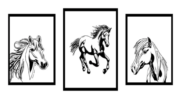 Kolekcja Minimalistycznych Czarno Białych Ilustracji Konie — Wektor stockowy