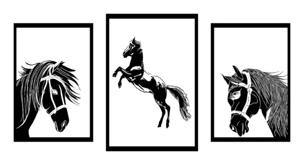 Συλλογή Μινιμαλιστικών Ασπρόμαυρων Εικονογραφήσεων Άλογα — Διανυσματικό Αρχείο