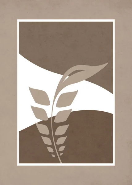 Печатные Минималистские Иллюстрации Дизайн Обложки Брошюры Ботанический Узор — стоковое фото
