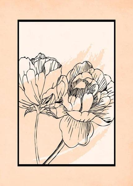 Basılabilir Minimalist Illüstrasyon Kapak Tasarımı Broşürler Botanik Desen — Stok fotoğraf