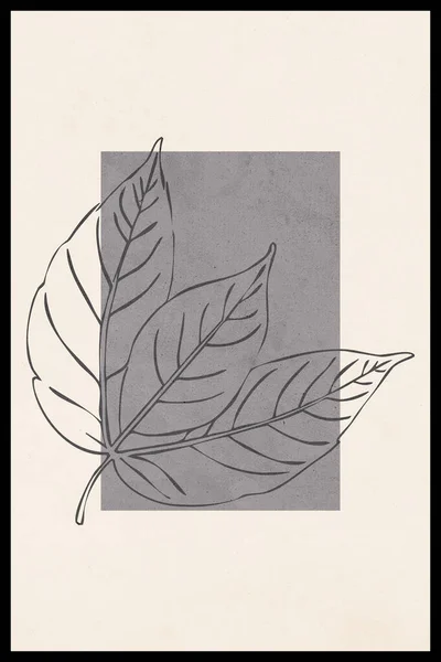 Printable Trendy Botanical Card Use Cover Wallpaper Wall Art — Stock Photo, Image