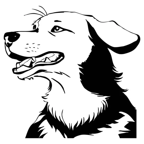 Cane Nero Sfondo Bianco Linea Animale Art Design Del Logo — Foto Stock