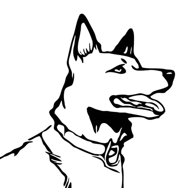 Чёрная Собака Белом Фоне Животные Линии Искусства Логотип Дизайн Использования — стоковое фото