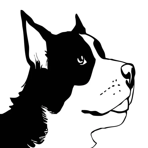 Černý Pes Bílém Pozadí Zvířecí Linie Návrh Loga Pro Použití — Stock fotografie