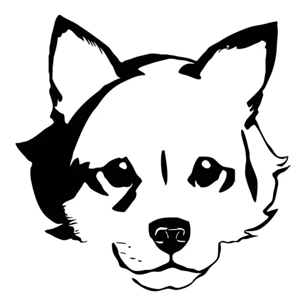 Czarny Pies Białym Tle Sztuka Linii Zwierząt Projektowanie Logo Stosowania — Zdjęcie stockowe