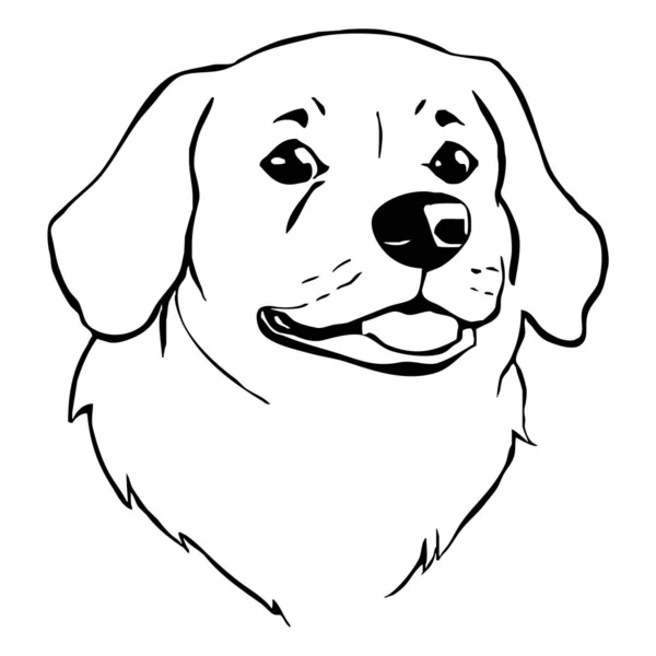 Beyaz Arka Planda Siyah Köpek Hayvan Çizgisi Sanatı Grafiklerde Kullanılmak — Stok fotoğraf