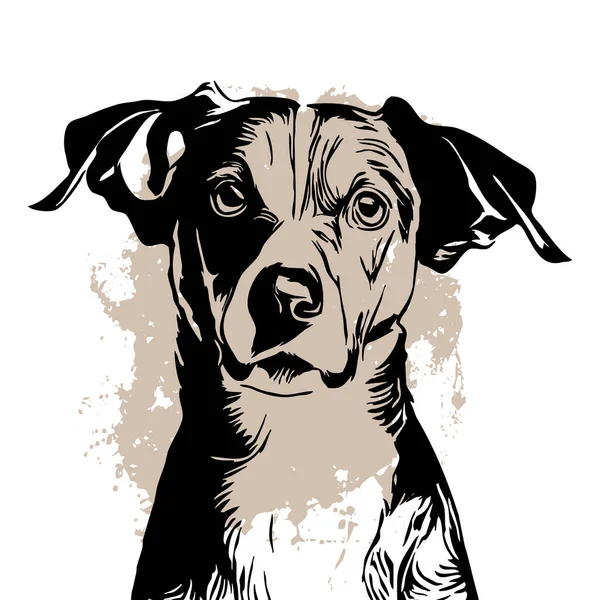 Câine Negru Fundal Alb Linia Artă Animală Proiectarea Siglei Pentru — Fotografie, imagine de stoc