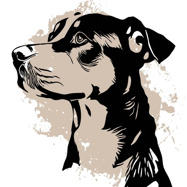 白色背景的黑狗 动物线条艺术 标志设计 用于图形设计 — 图库照片
