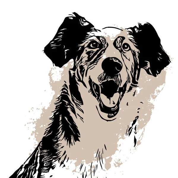 Czarny Pies Białym Tle Sztuka Linii Zwierząt Projektowanie Logo Stosowania — Zdjęcie stockowe