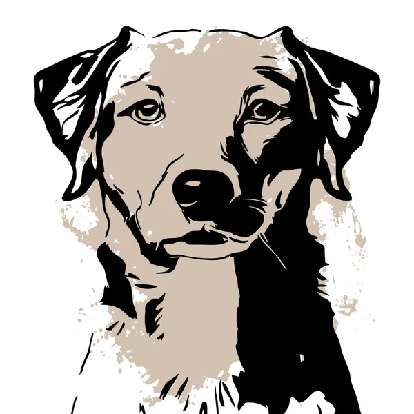 Μαύρος Σκύλος Λευκό Φόντο Ζωική Τέχνη Σχεδιασμός Λογότυπου Για Χρήση — Φωτογραφία Αρχείου