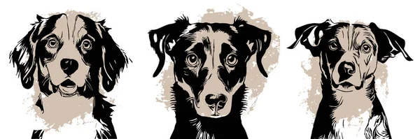 Perro Negro Sobre Fondo Blanco Arte Línea Animal Diseño Logotipos —  Fotos de Stock