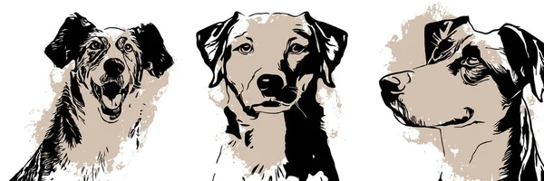 Black dog on a white background. Animal line art. Logo design, for use in graphics.