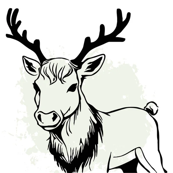 Black Reindeer White Background Animals Line Art Logo Design Use — Stock Photo, Image