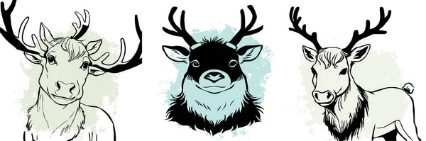 Beyaz Arka Planda Siyah Ren Geyiği Hayvanlar Çizgi Sanatı Logo — Stok fotoğraf