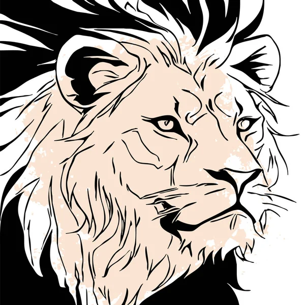 Leão Negro Sobre Fundo Branco Arte Linha Animal Design Logotipo — Fotografia de Stock