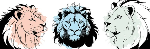 Black Lion White Background Animal Line Art Logo Design Use — Stock Photo, Image