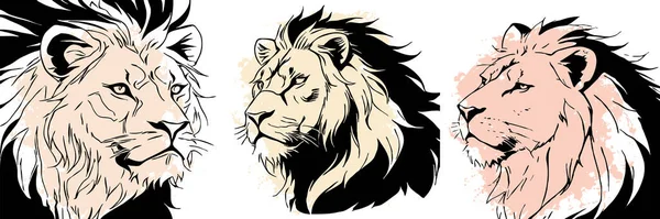 黒いライオンが白い背景に アニマルラインアート グラフィックで使用するためのロゴデザイン Tシャツ用プリント タトゥー用パターン — ストック写真
