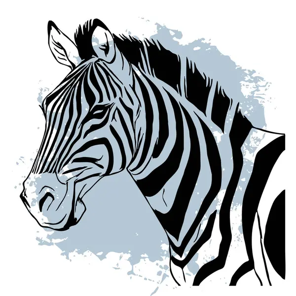 Zebra Preta Sobre Fundo Branco Arte Linha Animal Design Logotipo — Fotografia de Stock