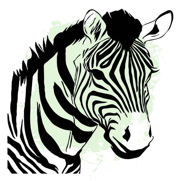 Cebra Negra Sobre Fondo Blanco Arte Línea Animal Diseño Logotipo —  Fotos de Stock